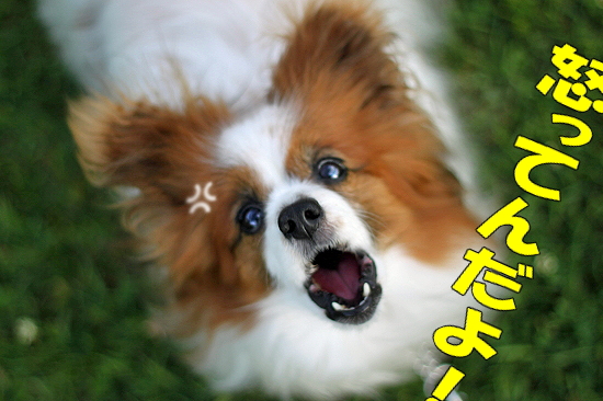 ¤½¤Î¸å¤Îº¸ÌÜ¡¦¡¦¡¦¡¡06
