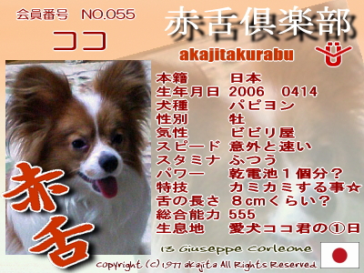 055-koko-2007