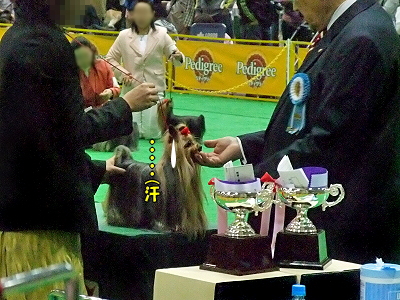 ¥¢¥¸¥¢¥¤¥ó¥¿¡¼2009¡ÊÁ°ÊÔ¡Ë´