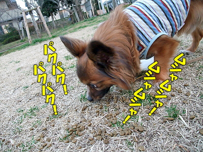 ¥À¥¤¥½¥ó¡ú§