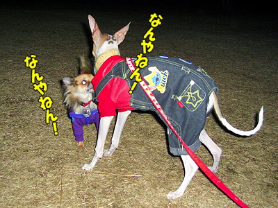 Åß»ê¤Î˺ǯ²ñ«