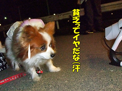 ·îÍËÆü¤Ï¥¿¥³¥¹¤ÎÆü§