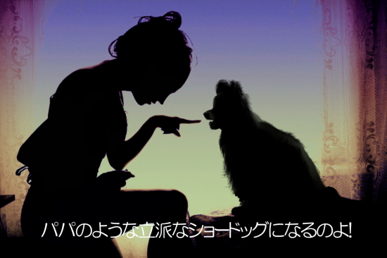 ¡Ú¤Ò¤Ä¤¸¤ÎÆÈ¤ê¤´¤È¡Û¡¡06