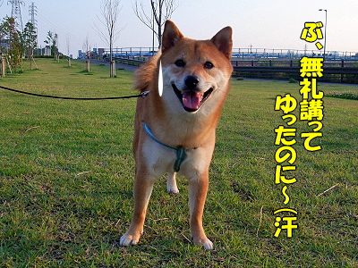 ¥Ê¥Ä¥³¹¶Î¬Ë¡¡ú§