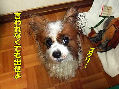É÷Ϥ¾å¤¬¤ê¤ÎÌëÃæ¤Ë¥