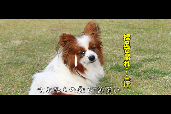 ¤µ¤è¤Ê¤é¡¢AKI¤µ¤ó¡¦¡¦¡¦¥Õ¥¡¥¤¥Ê¥ë¡ª26