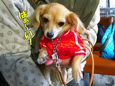 ¥ª¥Õ²ñ¤Ë¹Ô¤Ã¤Æ¤¤¿¤è¡ª