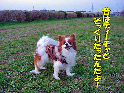 ºùºé¤¯¡¦¡¦¡¦¡¦©