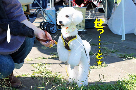 ½©¤Î¥ª¥Õ²ñ¡¡¤½¤Î£±¡¡22