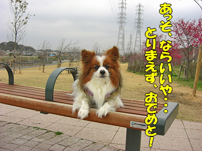 ºù¤ÎÌڤβ¼¤Ç