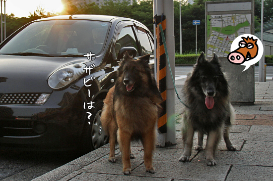 ²Æ¤Ë¸þ¤«¤Ã¤Æ¡¦¡¦¡¦¡ú¡¡03