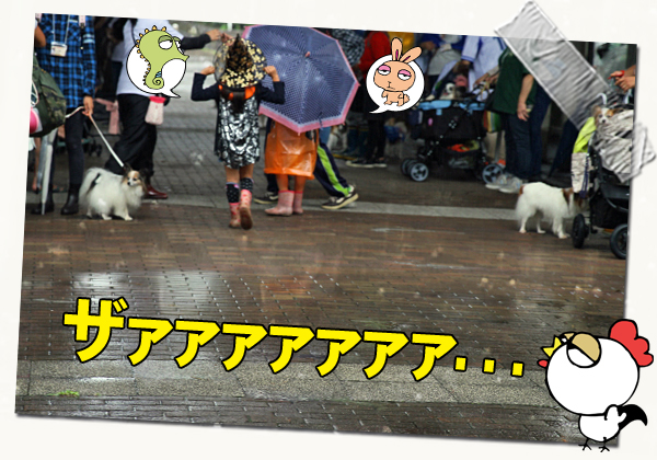 ¥Þ¥¸¤Ç±«¤¸¤ã¤ó¡¦¡¦¡¦¡¦¡¦¡¦(´À)¡¡04