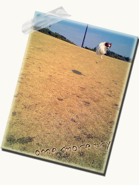 houfu 12