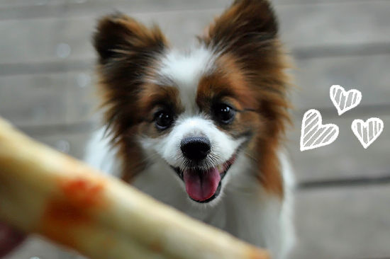 I love you?