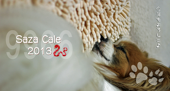 ¡Ú¥µ¥¶¥«¥ì2013¡ÛÇÛÁ÷¡Á¡ú¡ù¡ú¡¡04