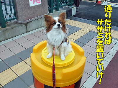 ¥µ¥¶¥Ó¡¼¡ú´Ø½ê¨