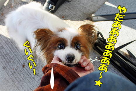 ららぽでキットカット★��