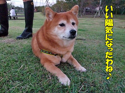 ±«¤â°ìÃÊÍî¤