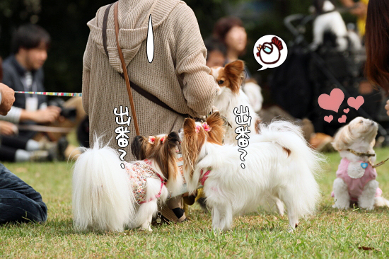 ¡Ú¥µ¥¶¥ª¥Õ¡¦2014¡Û¡ú¤½¤Î2¡¡µð¿ÍVSºå¿À¡¡13