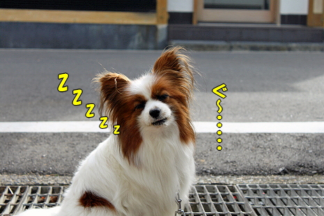 Æî˼Áí¤Ç¥«¥Ä¥ª¤ò¡ú¨