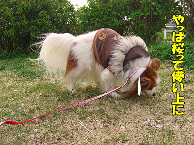 ºù»¶¤ë¡¦¡¦¡¦ª