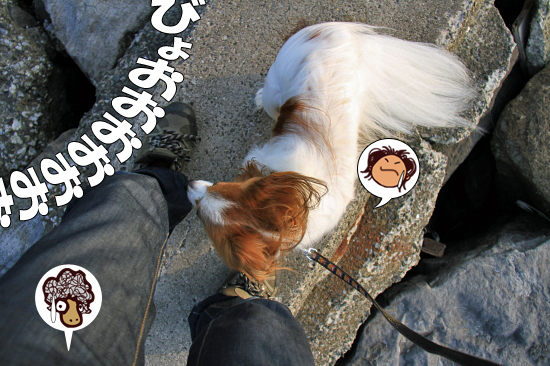 ¥µ¥¶¥Ó¡¼¡¢¥´¥ë¥´¥À¤ÎµÖ¤ËΩ¤Ä¡ª¡ª¡¦¡¦¡¦¤«¤â¡©¡¡08
