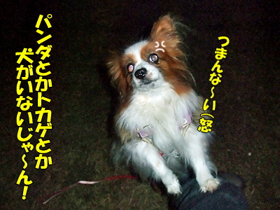 ¥Ñ¥ó¥ÀÍè½±¡¦¡¦¡¦¡¦¡¦¨
