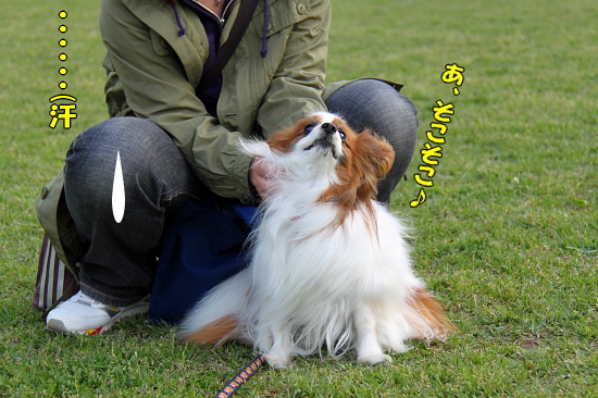 ¥¥â¥Á¥¤¥¤¡Á¢ö¡¡02