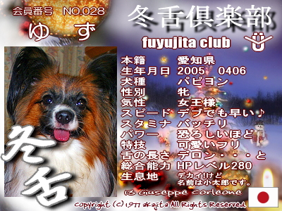 028-yuzu-fuyu