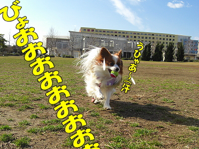 ¤Þ¤À¤Þ¤À¶¯É÷¡£¡£orz¤