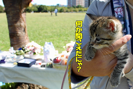 ½©¤Î¥ª¥Õ²ñ¡¡¤½¤Î£²¡