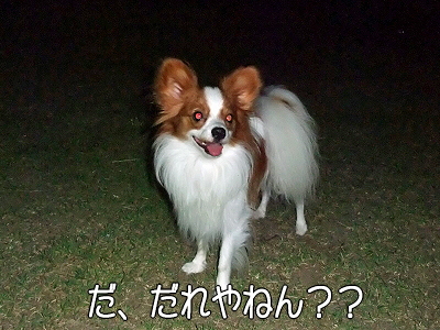¤À¡Á¤ì¤À¡ª¤