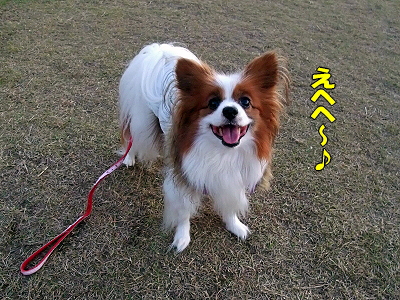 ¤¤¤È¥µ¥¶É÷¡¢¤½¤Î¥µ¥¶£÷©