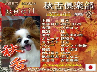 504-cecil-2008aki