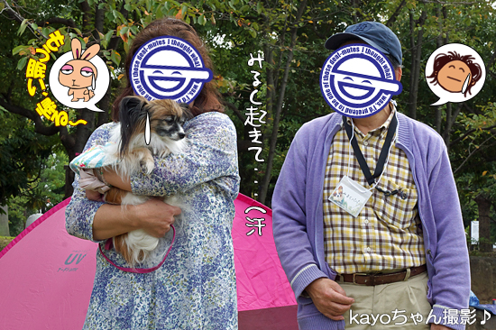 ¡Ú¥µ¥¶¥ª¥Õ¡¦2014¡Û¡ú¤½¤Î4¡¡µÞ®½¼ÅÅÃæ¡Á¡ª¡¡16