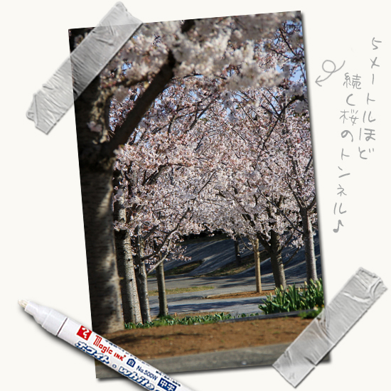 2ǯ±Û¤·¤Î¡¦¡¦¡¦¡¦¡¦¡¡02