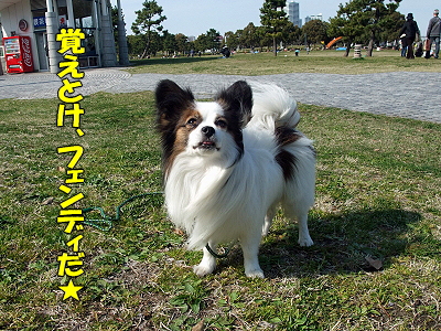 ¥µ¥¶¥Ó¡¼¡¢Î×¹Á¥Ñ¡¼¥¯¤Ë¹Ô¤¯¡ª¤Î´¬¤¥