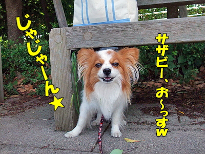 ¤ªÂæ¾ì¥ª¥Õ¡ú©