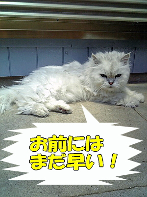 ¥·¥ã¥É¥¦²È²¦