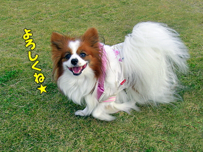 ¥¢¥É¥ì¥¹Êѹ¹¤Î¤ªÃΤ餻¡ú¢