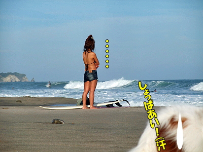 ¾¡±º¥ª¥ó¥é¥¤¥ó27