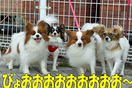 ³¡¹¡¦¤µ¤¤Ã¤Ä¤¡¤ó¥ª¥Õ¢ö³
