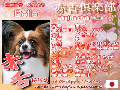 005-belle-2008saku¶