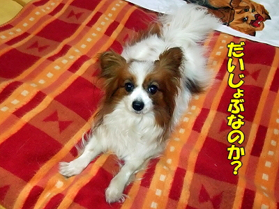 Ƨ¤ó¤À¤ê½³¤Ã¤¿¤ê³ú¤Þ¤ì¤¿¤ê¡¦¡¦¡¦