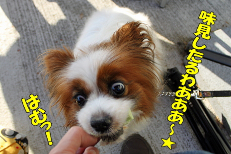 ららぽでキットカット★��