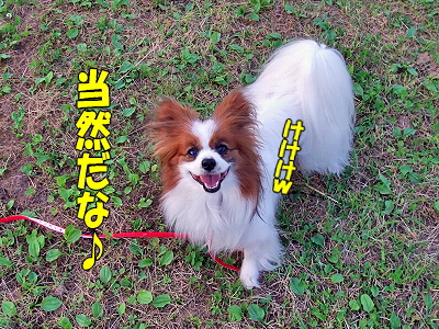 ¤¢¤ê¤Þ¤È¤¦¡ú¥