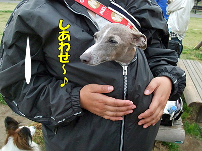 ¿ðÊæ¤Ø£Ç£Ï¡¼¡ª«