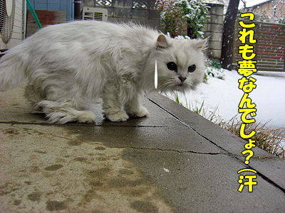 Ä«¡¢µ¯¤¤¿¤é¡¦¡¦¡¦¡¦¤