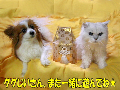 ¥°¥°¤¸¤¤¤µ¤ó¤Î»×¤¤½Ð¦
