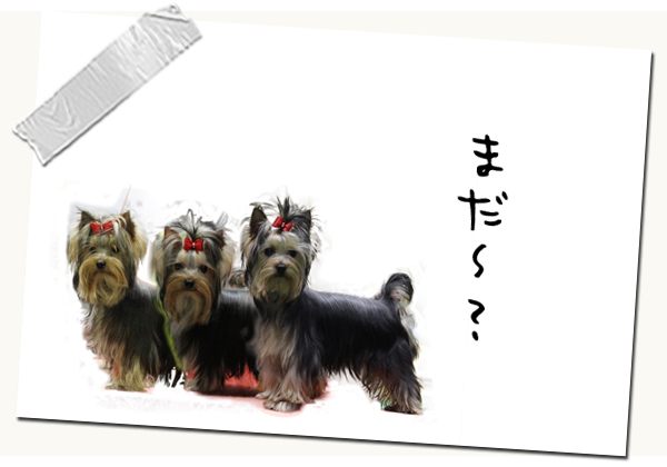 ǯ¤Î¤Þ¤È¤á¡¦2014¡ú¡ù¡ú 02